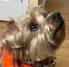 Jax