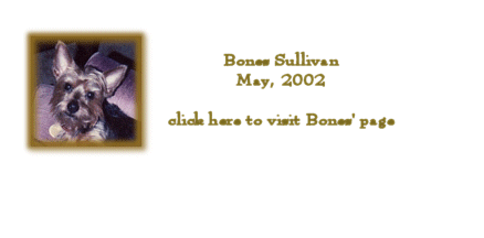 bones sullivan