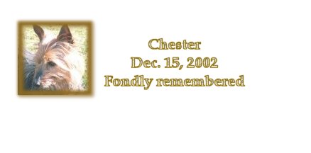 chester