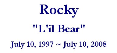 Rocky