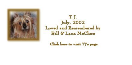 tj