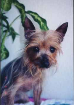 minnie, november 2001