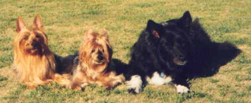 raymond and friends