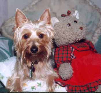 terrance